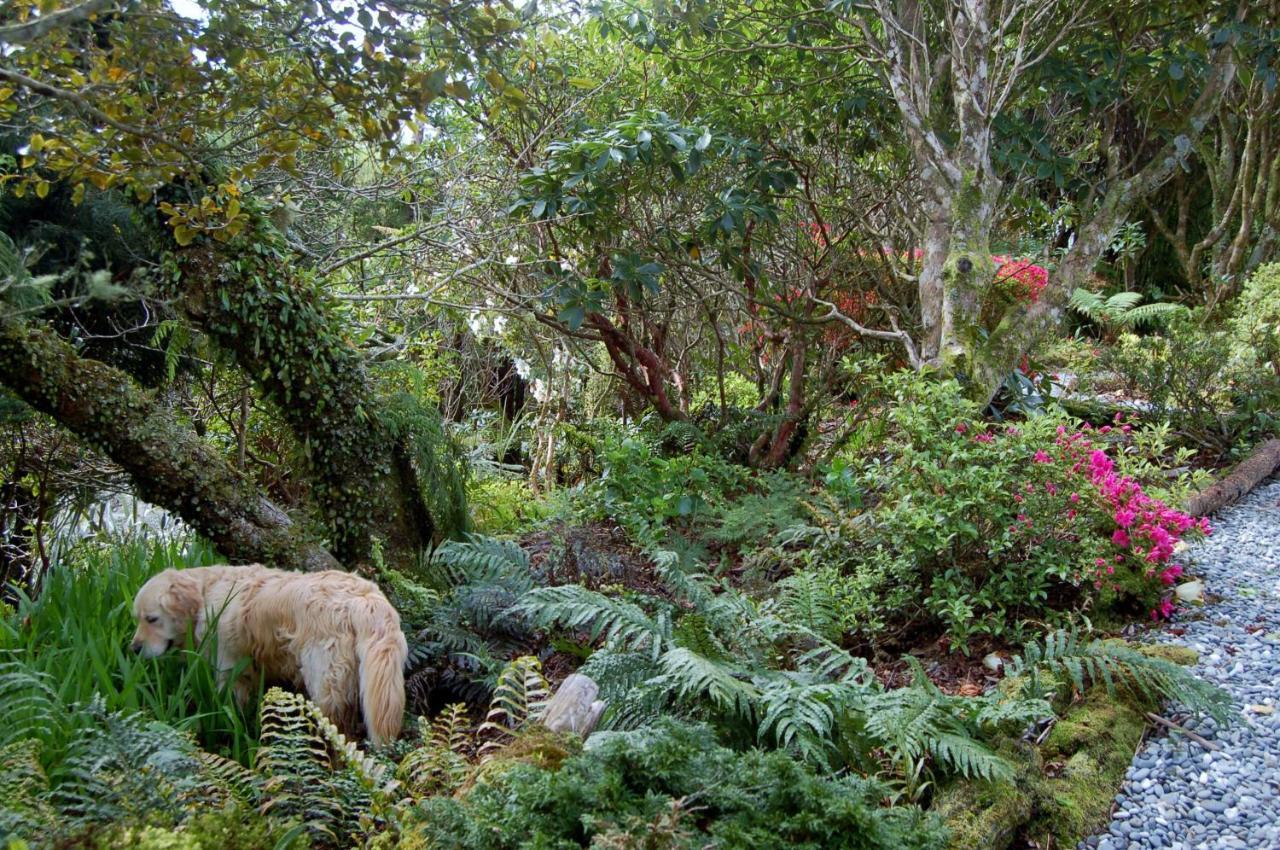 Oak Lodge Greymouth Esterno foto